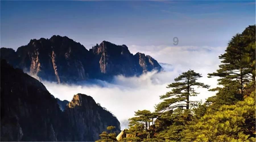 胶粘剂对接接头试样夹具拉伸强度测定试件装置试验仪GBT6329